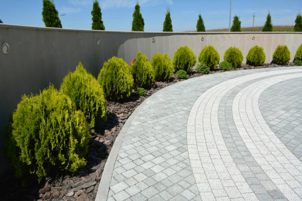 Best Driveway Paving Contractor  in Los Angeles, CA